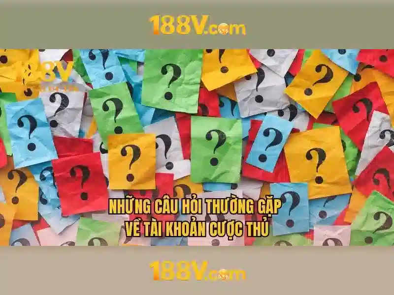 Trải nghiệm người dùng và phản hồi cộng đồng