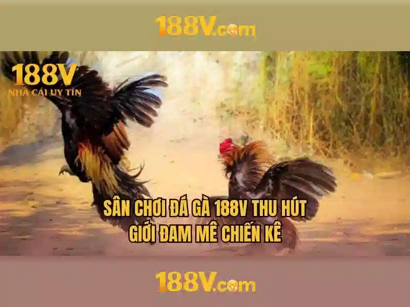 Sản phẩm và dịch vụ của 188v