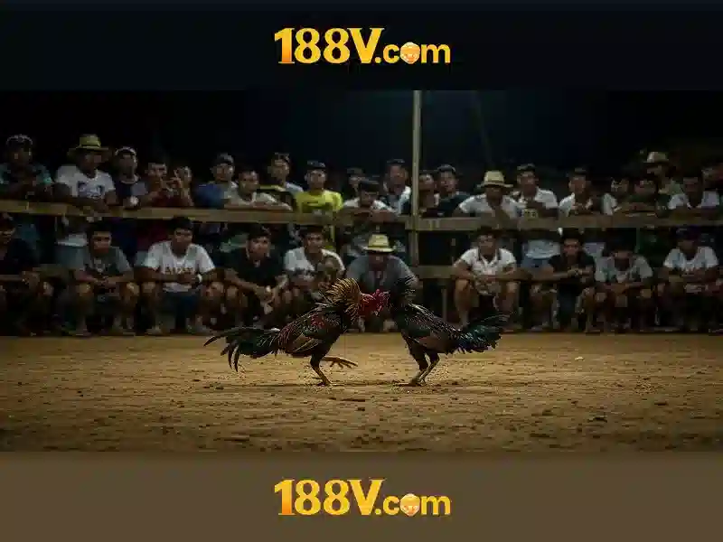 188v nhà cái – Tổng quan và giá trị cốt lõi