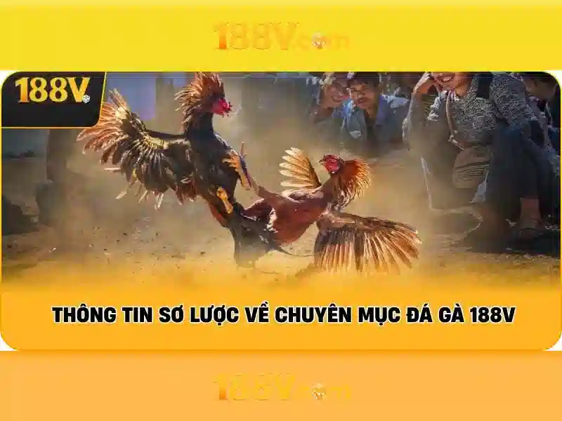 Cách 188V ảnh hưởng đến an toàn và chăm sóc thiết bị