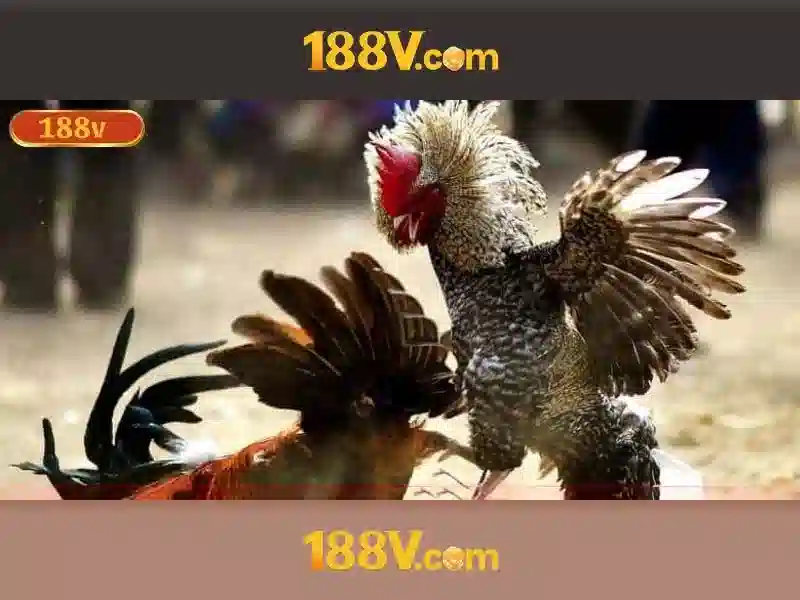 188v có hợp pháp không — Đánh giá pháp lý và trải nghiệm