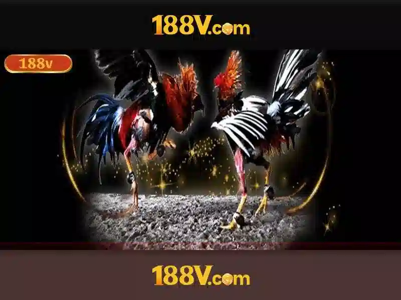 188v: Hành trình khám phá và ảnh hưởng