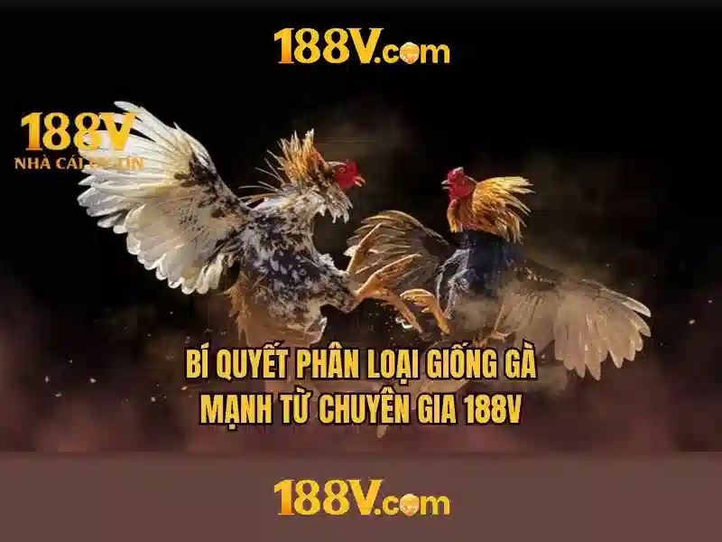 188v: Ý nghĩa, nguồn gốc và tương lai