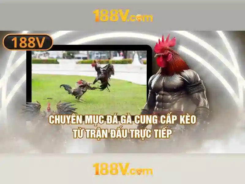 Kết luận và tương lai của 188V