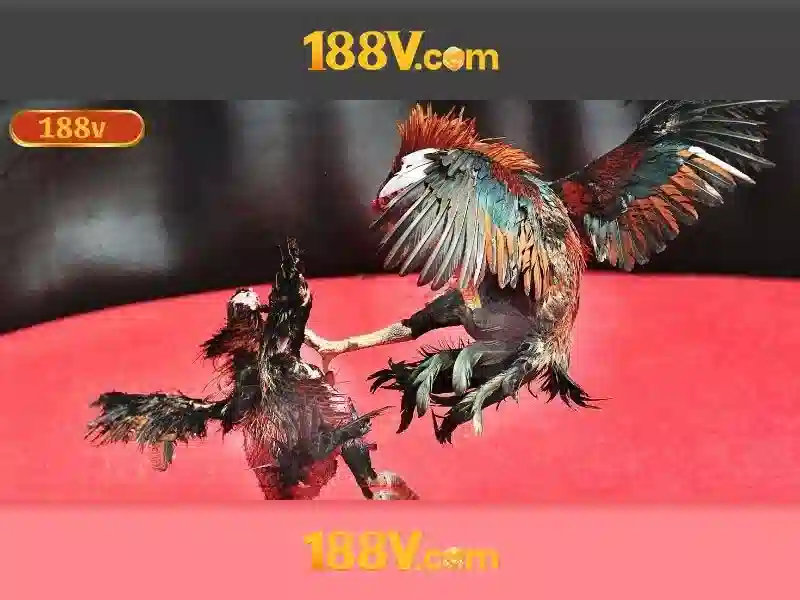 H2. Trải nghiệm người dùng và phản hồi cộng đồng