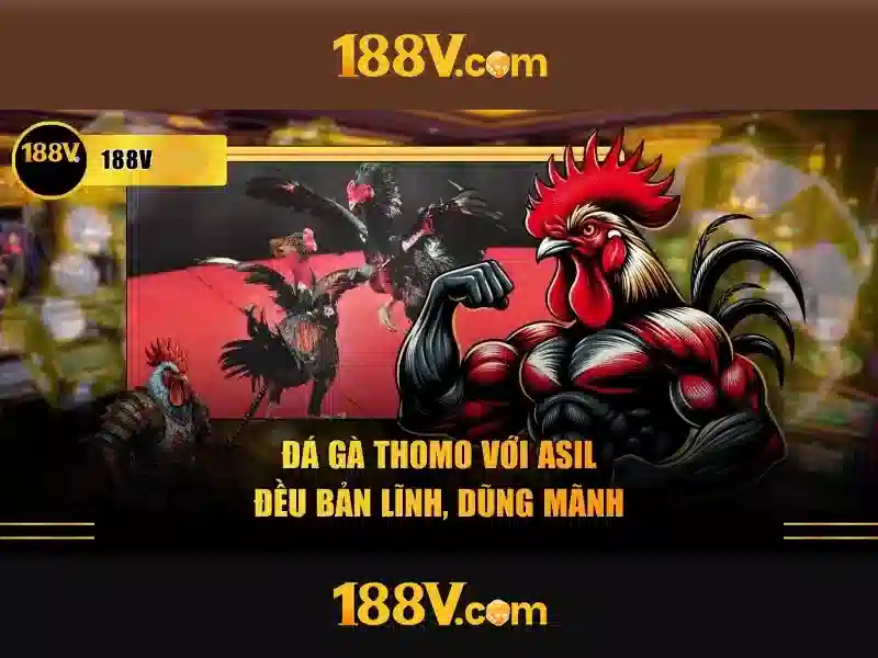 188v mê – Khám phá giá trị và trải nghiệm tai 188v