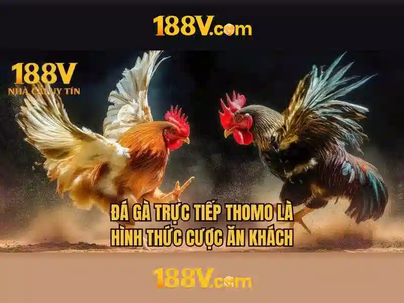 giftcode 188v – Trải nghiệm và đánh giá chi tiết