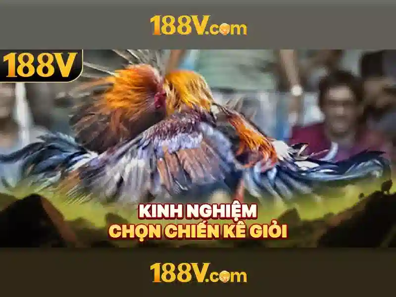 So sánh 188v với các hệ thống tương tự\n