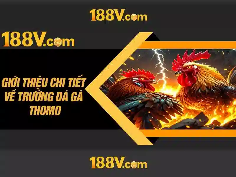 188v: một khái niệm giữa số học và thiết kế
