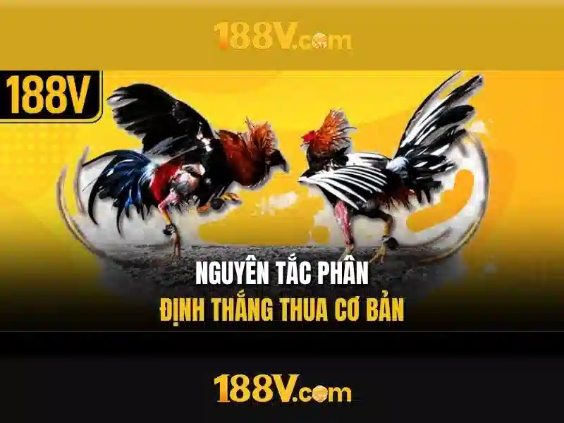 188v: Hành trình của vận tốc và sáng tạo