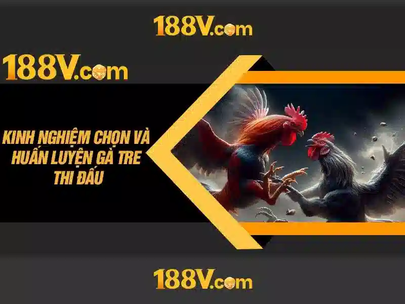 An toàn và thực tế\n\n