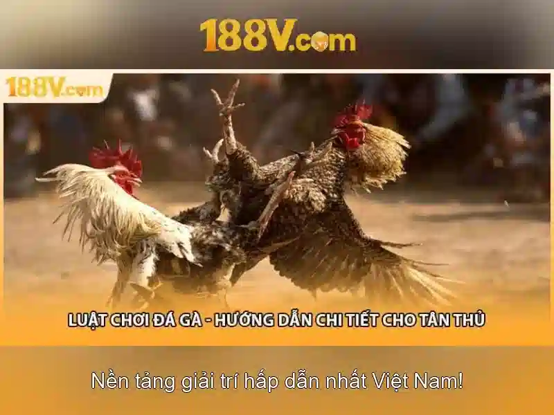 188v - một khái niệm tương lai\n