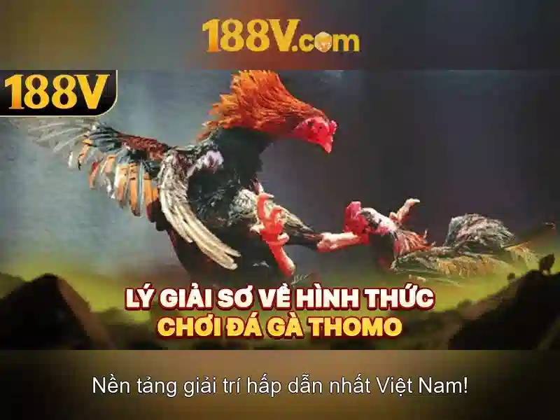 An toàn và hiệu quả