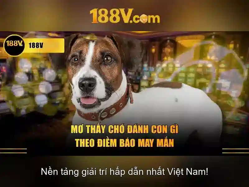 Hiểu về điện áp 188V và an toàn