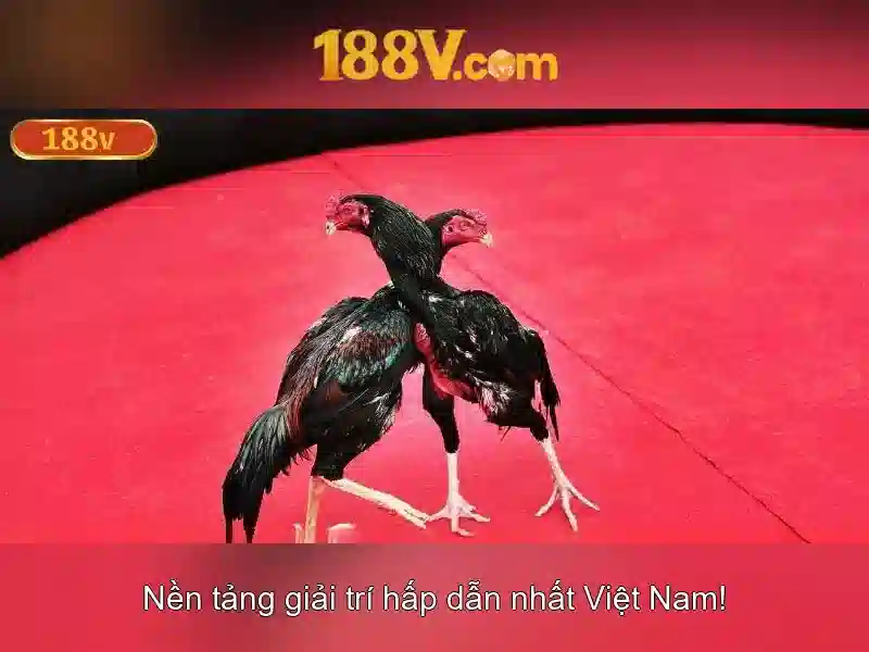 188v-com – Trải nghiệm cá cược và công nghệ đỉnh cao