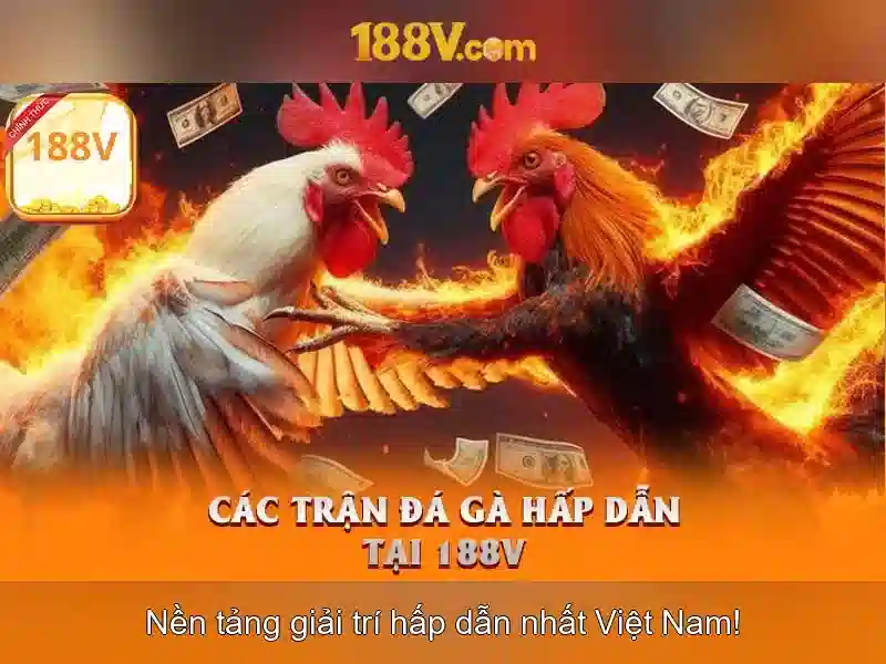 Đặc điểm nổi bật của 188v
