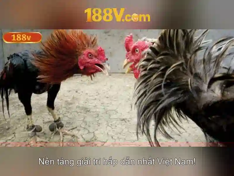 188v link – Tổng quan chủ đề và Giá trị cốt lõi