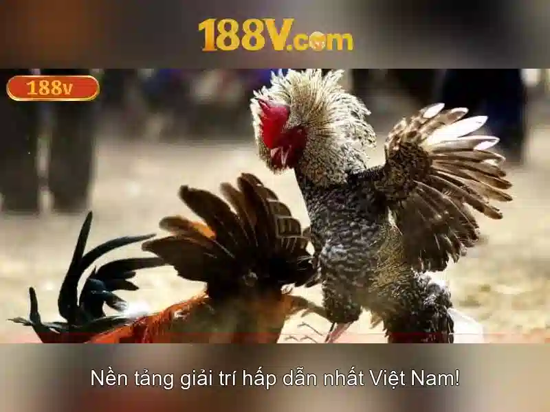 Khám phá 188v