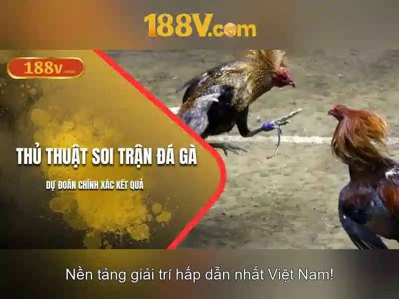 Lịch sử và bối cảnh\n