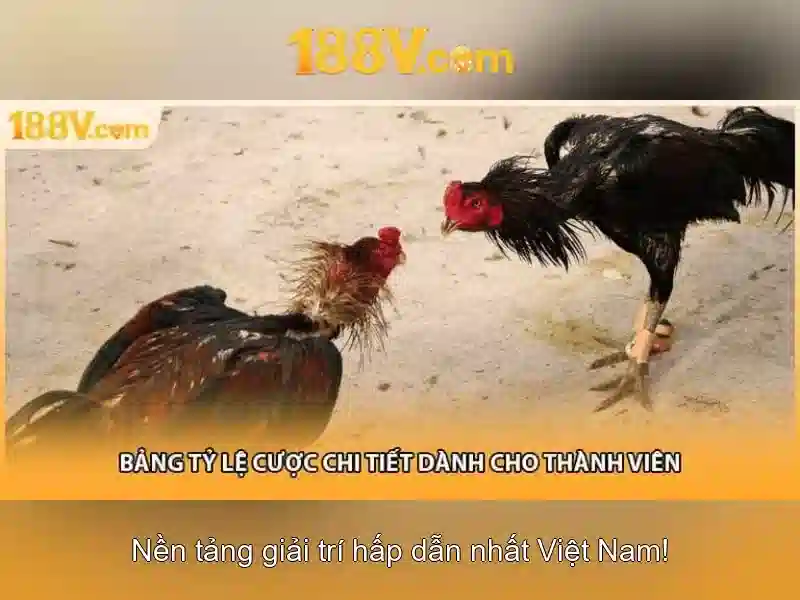 Khám phá bản chất 188v