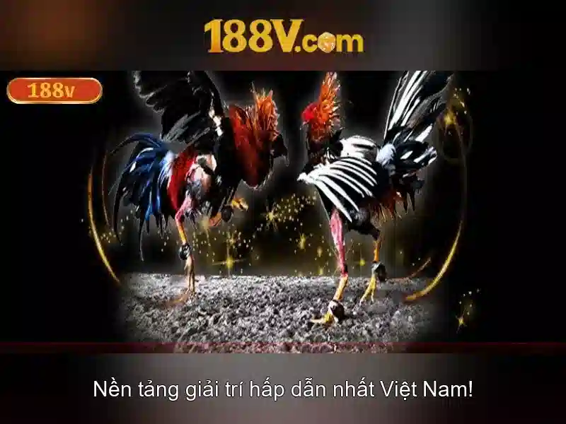 'Khái niệm của 188v'