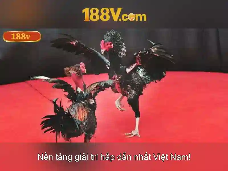 Ứng dụng của 188v trong thiết kế và storytelling