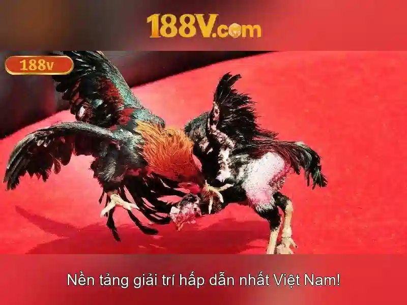 188v: Khái niệm, nguồn gốc và tác động