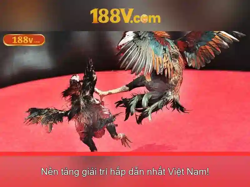 Kết luận