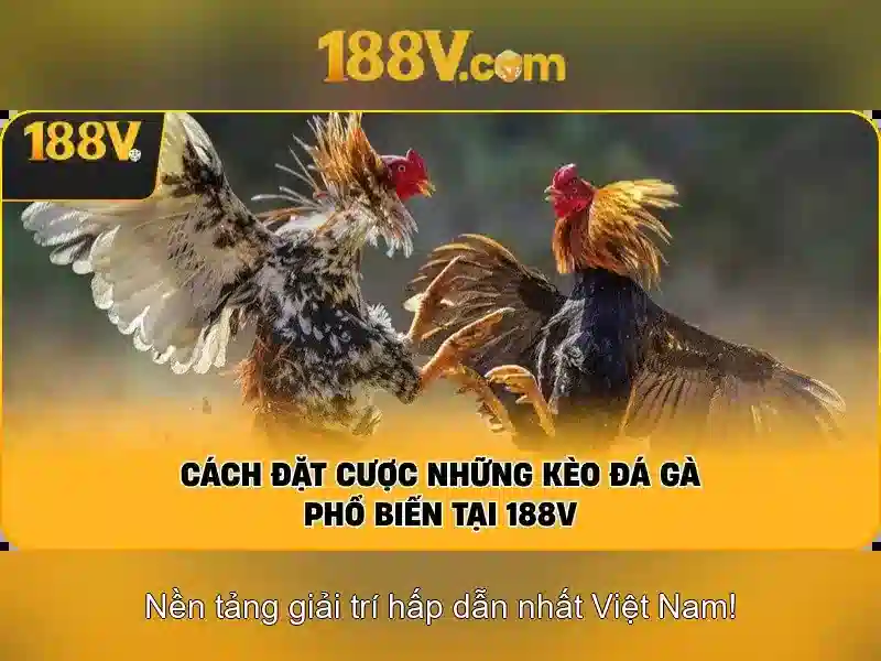 188v: Hành trình khám phá con số và ý nghĩa của nó