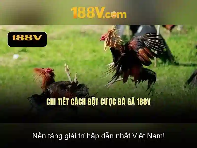 Kiến trúc và ảnh hưởng của 188v