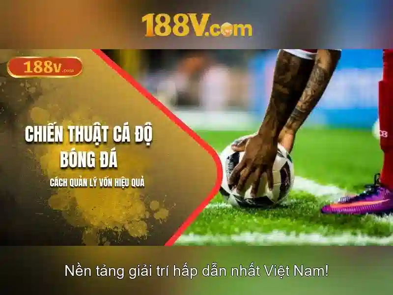 Thuật ngữ và cách hiểu 188v trong ngữ cảnh hiện đại