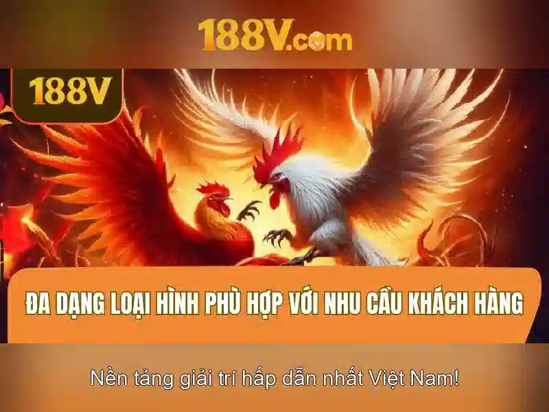 Nguồn gốc và ý nghĩa\n