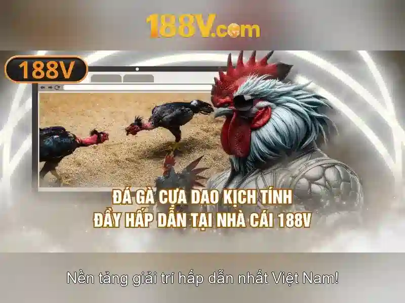 Nguồn gốc và động lực