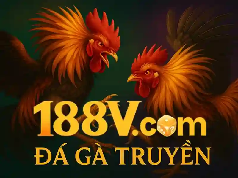 Chặng đường phát triển và tầm nhìn tương lai của 188v .com